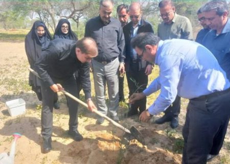 پویش درختکاری «سرو ایران» در دشتستان برگزار شد