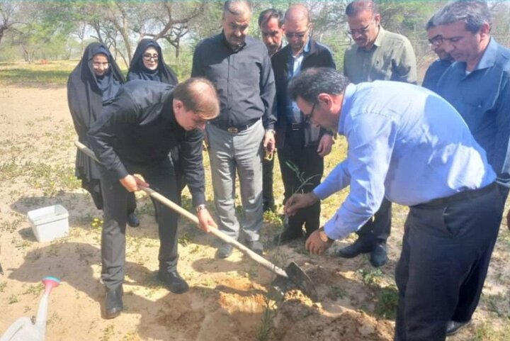 پویش درختکاری «سرو ایران» در دشتستان برگزار شد