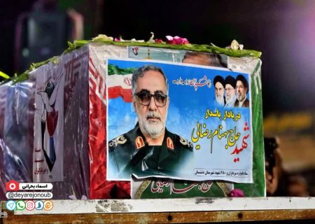 استقبال باشکوه مردم دشتستان از دریادار شهید رضایی