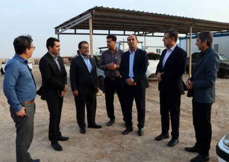 بهره‌ برداری از ۱۰ مگاوات نیروگاه خورشیدی در دشتی تا هفته دولت