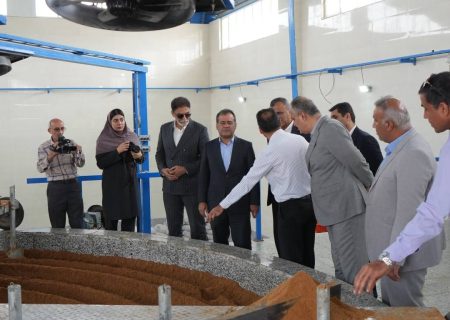 تامین مرغ مورد نیاز استان بوشهر تا ۲ ماه آینده تضمین شد