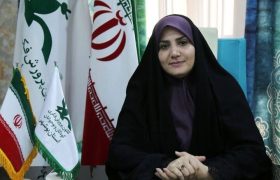۳۰ روستای بوشهر زیر پوشش کتابخانه‌های سیار قرار می‌گیرند