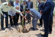 رویکرد تحولی دستگاه قضایی بوشهر؛ صدور «احکام سبز» به جای حبس