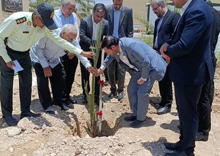 رویکرد تحولی دستگاه قضایی بوشهر؛ صدور «احکام سبز» به جای حبس