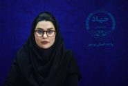 آموزش ۶۸۷۰ نفر در جهاددانشگاهی بوشهر؛ توسعه مهارت‌آموزی در سراسر استان