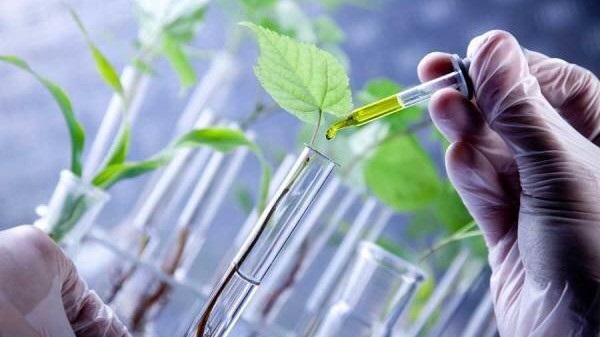 راهاندازی اولین شهرک زیستفناوری دریایی ایران در بوشهر