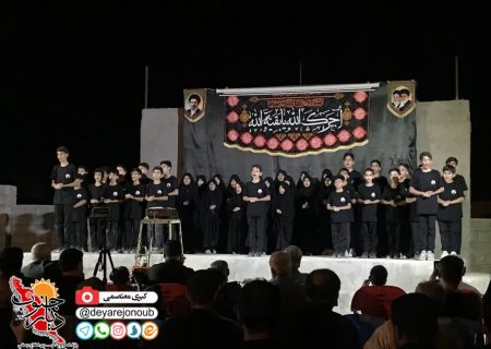 پیاده‌روی عزاداران شهادت امام رضا(ع) در شهر دالکی برگزار شد