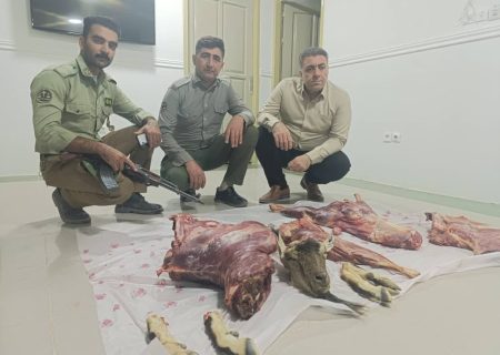 دستگیری شکارچی متخلف و ضبط گونه‌های حفاظت‌شده در منطقه شکارممنوع دشتستان