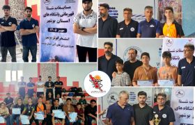 دشتستان نایب‌قهرمان مسابقات شنای پسران استان بوشهر شد
