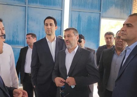 بازدید دبیر شورایعالی مناطق آزاد از ظرفیت های تولیدی مستقر در شهرک صنعتی منطقه آزاد بوشهر